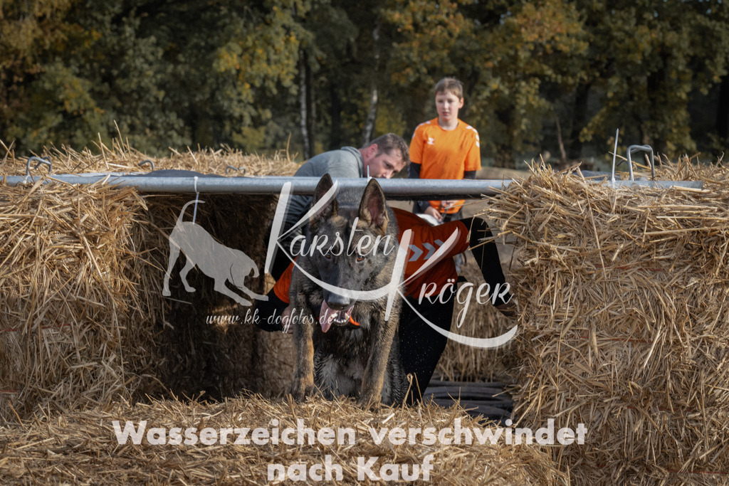 1031_ZZ98518 | kk-dogfotos