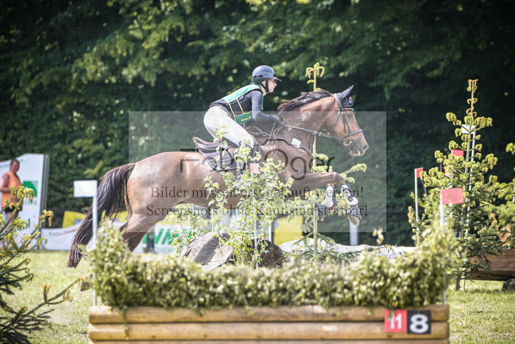 DOS_7830 | Entdecke hochwertige Reitturnierfotos von Foto Oger. Professionell, emotional und authentisch – jetzt Lieblingsmomente im Shop bestellen.Deutschlandweite Turnierfotografie. - Realisiert mit Pictrs.com