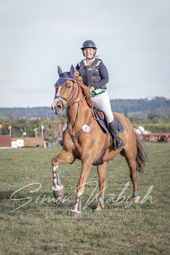 20250906-_3LI8204 | Tierfotografie Pferde, Hunde, Katzen, Haustiere.
Turnierfotografie Reitturniere, Reiten, Springreiten, Dressur in Hanau, dem Main-Kinzig-Kreis und dem Rhein-Main- Gebiet um Frankfurt