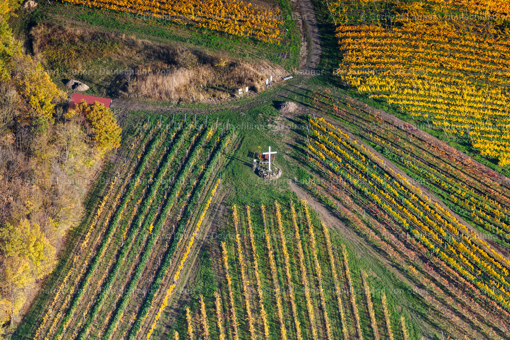 4042665 | Kirchschönbacher Mariengarten, Weinlage Mariengarten