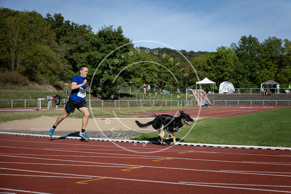 Pfotenfotografie_DV3A9176 | Hundefotografie, Tierfotograf, Pfotenfotografie, Fotoshooting Hund, Hunde Portrait, Hundesport, Hundeportraits, Heideshooting, Hunde, Sportfotograf, Hundefotograf, Turnierhundsport, THS,  - Realisiert mit Pictrs.com