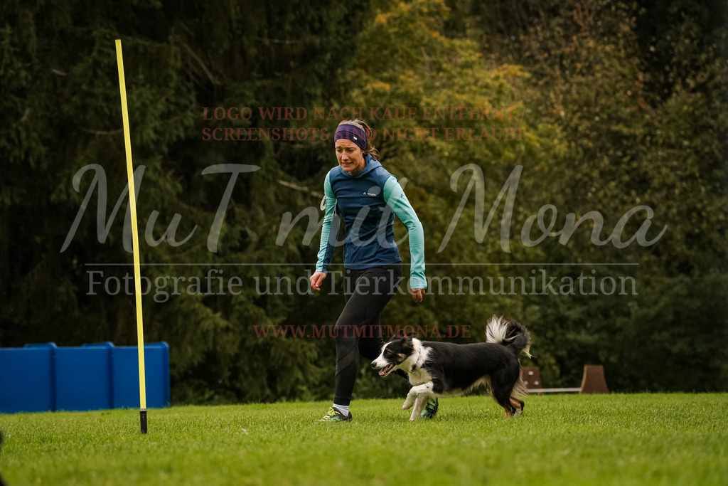 20251005_THS_Turnier-554 | MuT (Mensch und Tier) mit Mona - Fotografie und Tierkommunikation - Realisiert mit Pictrs.com