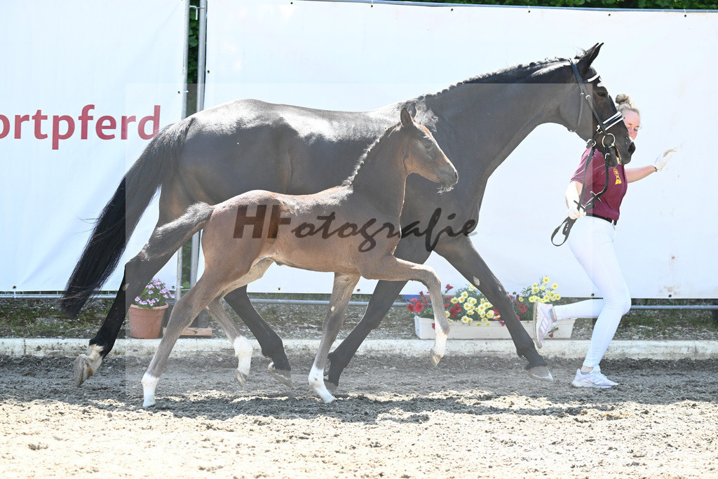 Kat-Nr. 14 HF DSP Feliciano_Pawlowski_12230496 | hf-fotografie - Realizzato con Pictrs.com