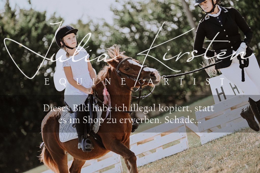 DSC_8918 | Pferde- und Turnierfotografie in Westsachsen. Pferdeportraits, Auftragszeichnungen und intuitive Kunst.