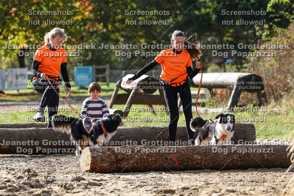 Dog Paparazzi - Strongdog 10-25-5918 | Dog Paparazzi Jeanette Grottendiek Fotografie & Videografie - Realisiert mit Pictrs.com