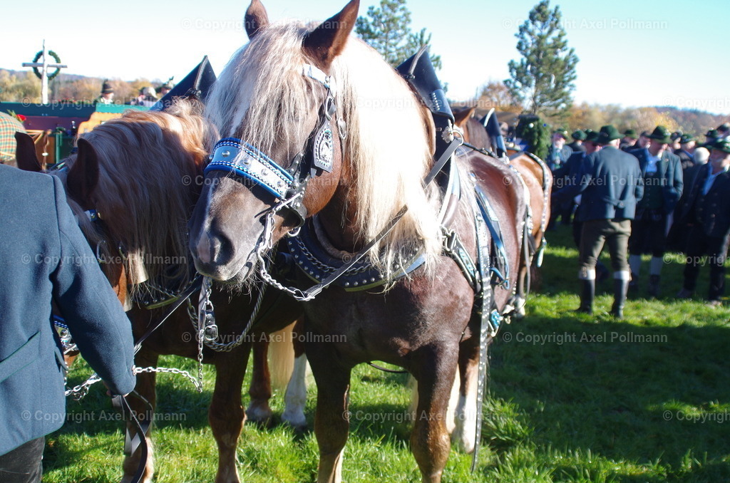 IMGP7711 | fotografiert von Axel PollmannLeonhardi Wallfahrt Benediktbeuern und Murnau, Fronleichnam, Fasching, Landschaft im Loisachtal und Benediktbeuern  - Realisiert mit Pictrs.com