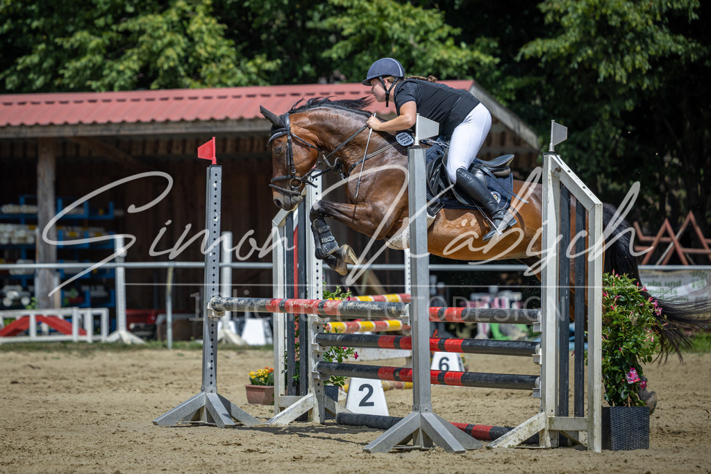 20260704-_3LI9860 | Tierfotografie Pferde, Hunde, Katzen, Haustiere.
Turnierfotografie Reitturniere, Reiten, Springreiten, Dressur in Hanau, dem Main-Kinzig-Kreis und dem Rhein-Main- Gebiet um Frankfurt