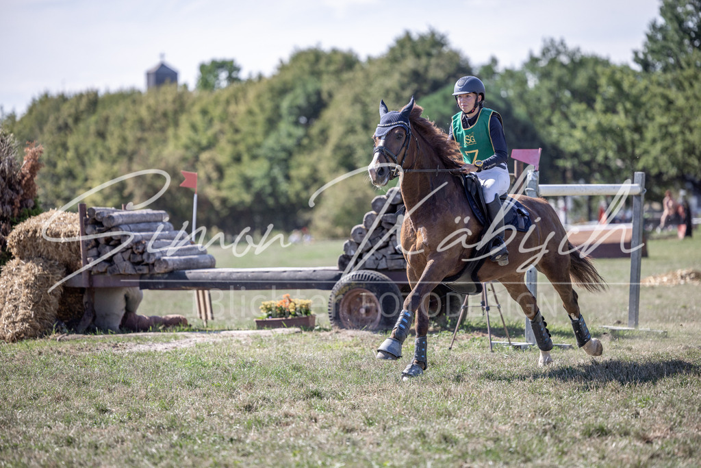 20260906-_3LI5428 | Tierfotografie Pferde, Hunde, Katzen, Haustiere.
Turnierfotografie Reitturniere, Reiten, Springreiten, Dressur in Hanau, dem Main-Kinzig-Kreis und dem Rhein-Main- Gebiet um Frankfurt