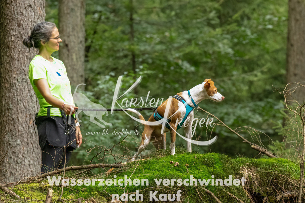 1324_ZZ92747-Bearbeitet | kk-dogfotos