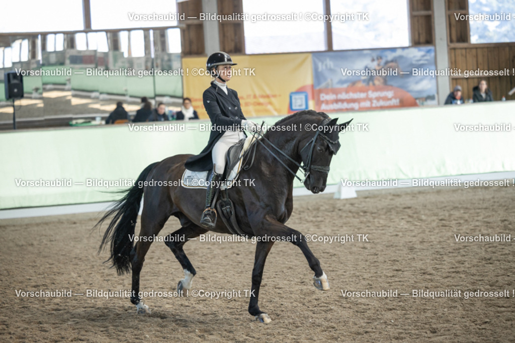 _D5A0282 | Emotionale Pferde- & People-Fotografie rund um Heidelberg, Leimen & Umgebung. Natürliche Fotos von Pferd, Mensch & Familie. Jetzt Termin sichern!