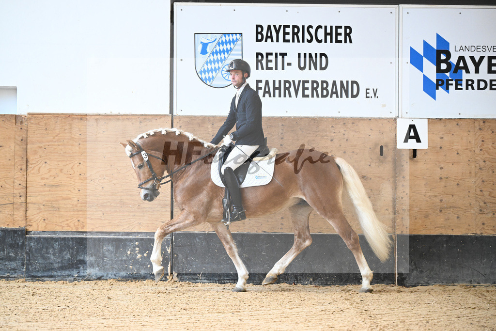 Kat-Nr. 3 Atlantis-D_Telser_44240180 | hf-fotografie - Realisiert mit Pictrs.com