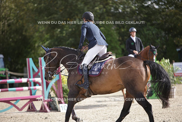 1J2A7587Erin Characklis_ Vodka Bull_ Kn1042_ Havekost | Foto- und Videografie für alles rund ums Pferd. Hochwertige Bilder und Videos vom Spring- und Dressurreiten, Voltigieren & mehr. Jetzt aktuelle Veranstaltungen und Preise im Shop ansehen. - Realisiert mit Pictrs.com