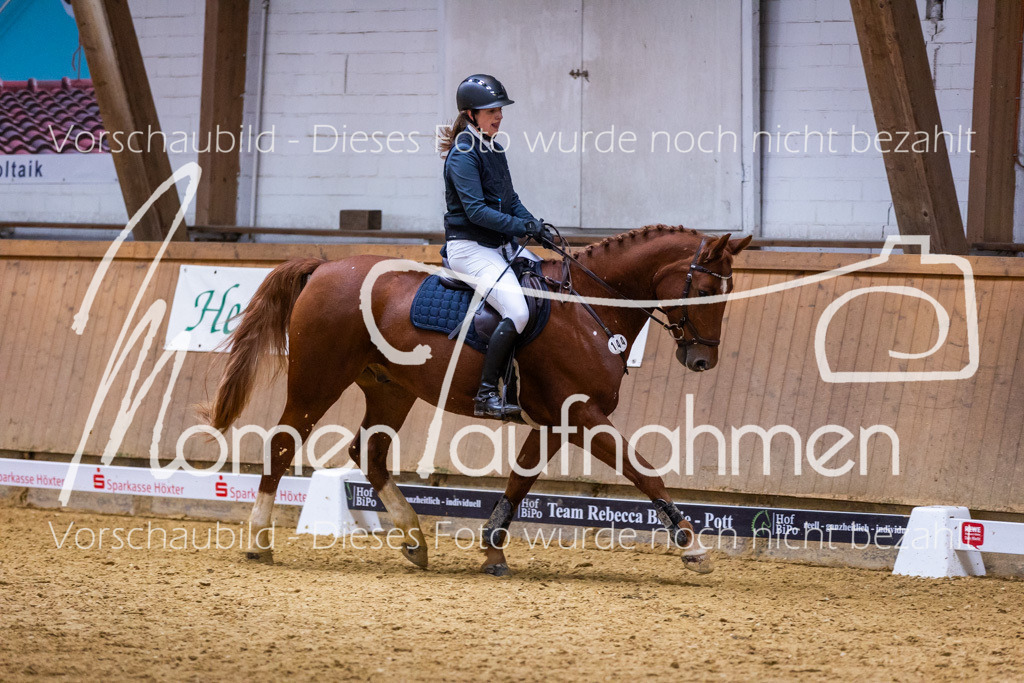 Sth-KombDreSpr-099 | MomenTaufnahmen Pferdesportfotos