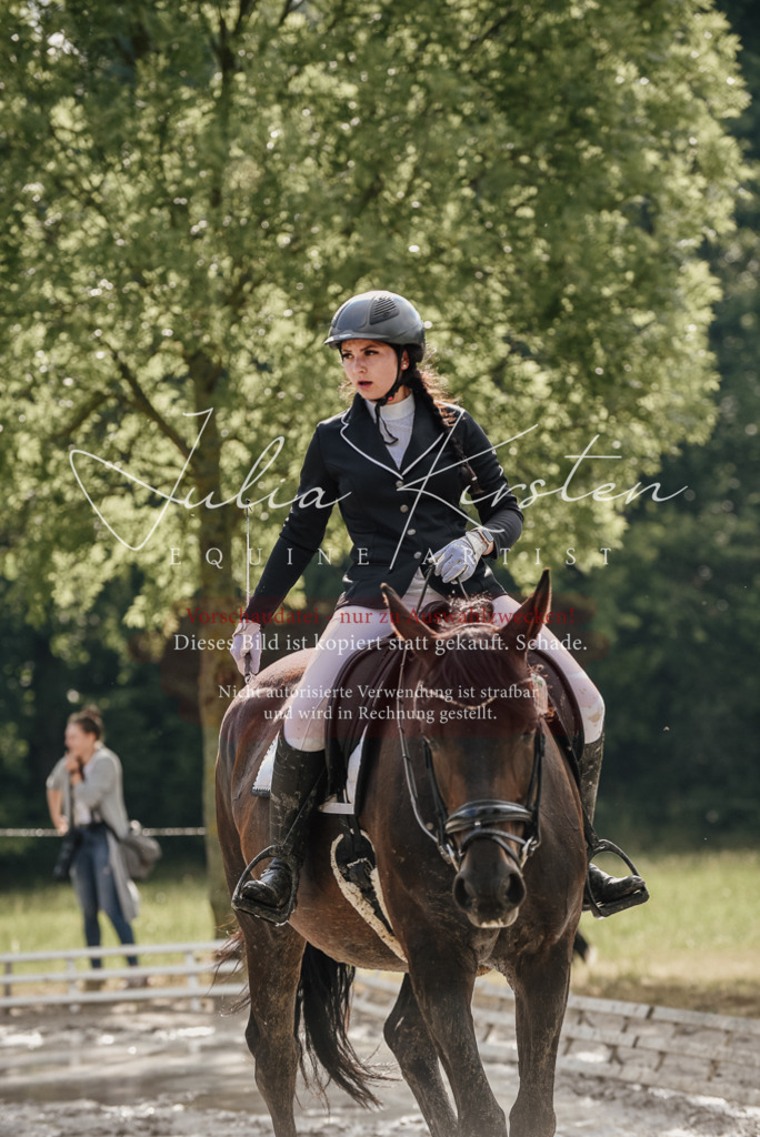 DSC_8702 | Pferde- und Turnierfotografie in Westsachsen. Pferdeportraits, Auftragszeichnungen und intuitive Kunst.