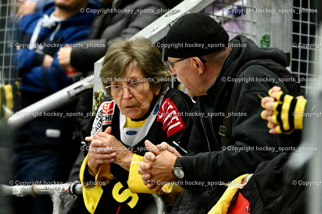 EC IDM WÄRMEPUMPEN VSV vs. Vienna Capitals | Älteste Vienna Capitals Fans, EC IDM WÄRMEPUMPEN VSV vs. Vienna Capitals, EC IDM WÄRMEPUMPEN VSV vs. Vienna Capitals am 16.11.2025 in Villach (Stadthalle Villach), Austria, (Photo by Bernd Stefan)