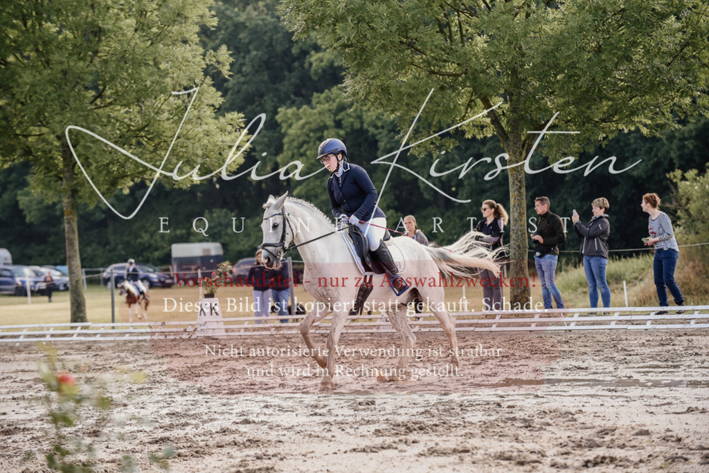 DSC_8020 | Pferde- und Turnierfotografie in Westsachsen. Pferdeportraits, Auftragszeichnungen und intuitive Kunst.