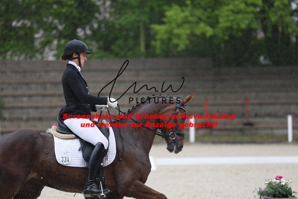 A40A7688 | lmwpictures - Realisiert mit Pictrs.com