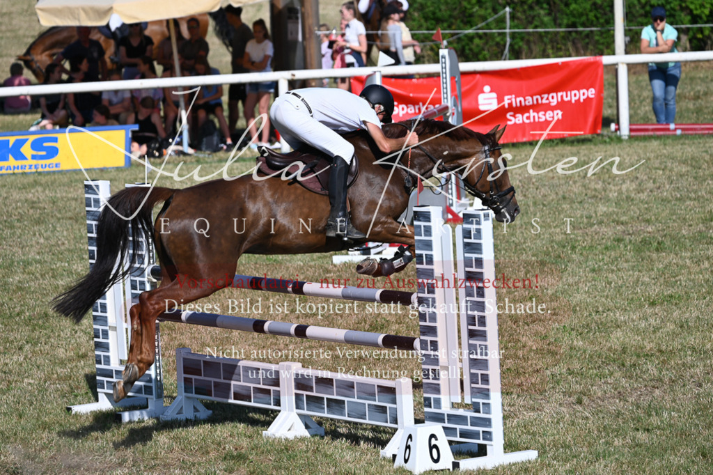 DSC_2267 | Pferde- und Turnierfotografie in Westsachsen. Pferdeportraits, Auftragszeichnungen und intuitive Kunst.