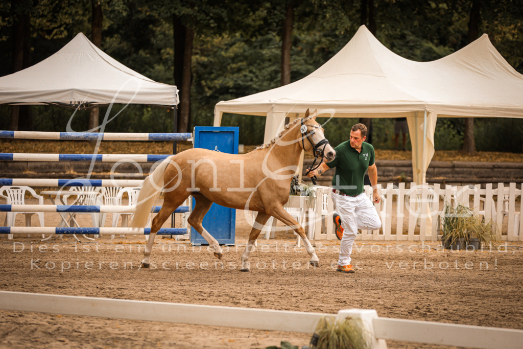 10.So00008 | Leoni Ertmer Photography - Realisiert mit Pictrs.com