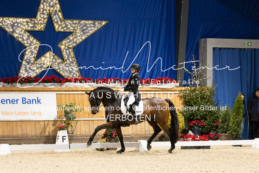 126A0258 | jasminmetznerfotografie