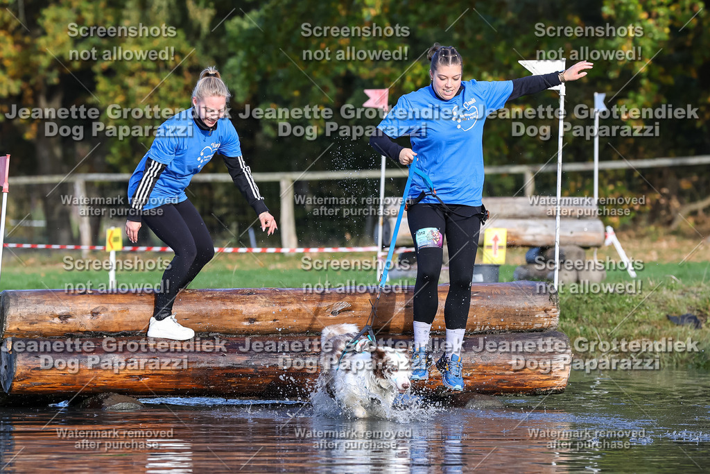 Dog Paparazzi - Strongdog 10-25-8536 | Dog Paparazzi Jeanette Grottendiek Fotografie & Videografie - Realisiert mit Pictrs.com