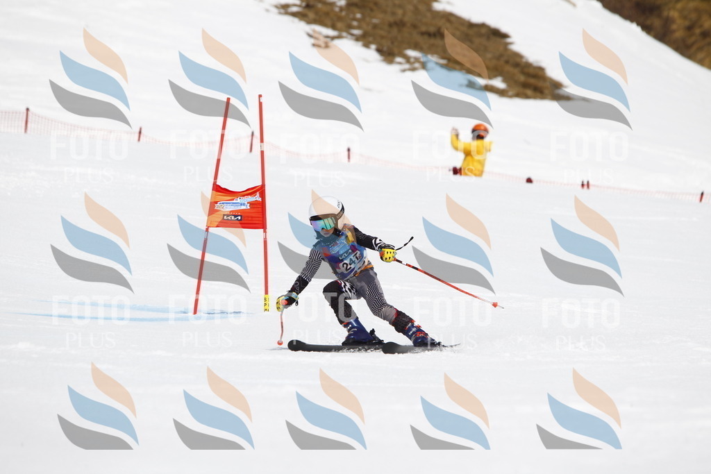 _U3G6237 | holidayphoto