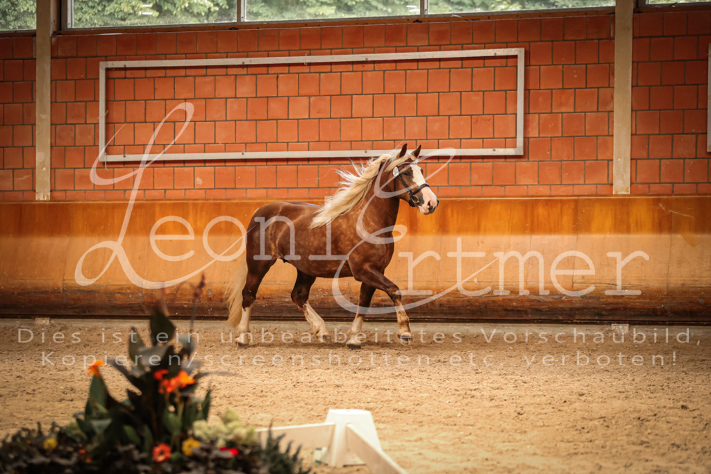 SaFL00476 | Leoni Ertmer Photography - Realisiert mit Pictrs.com