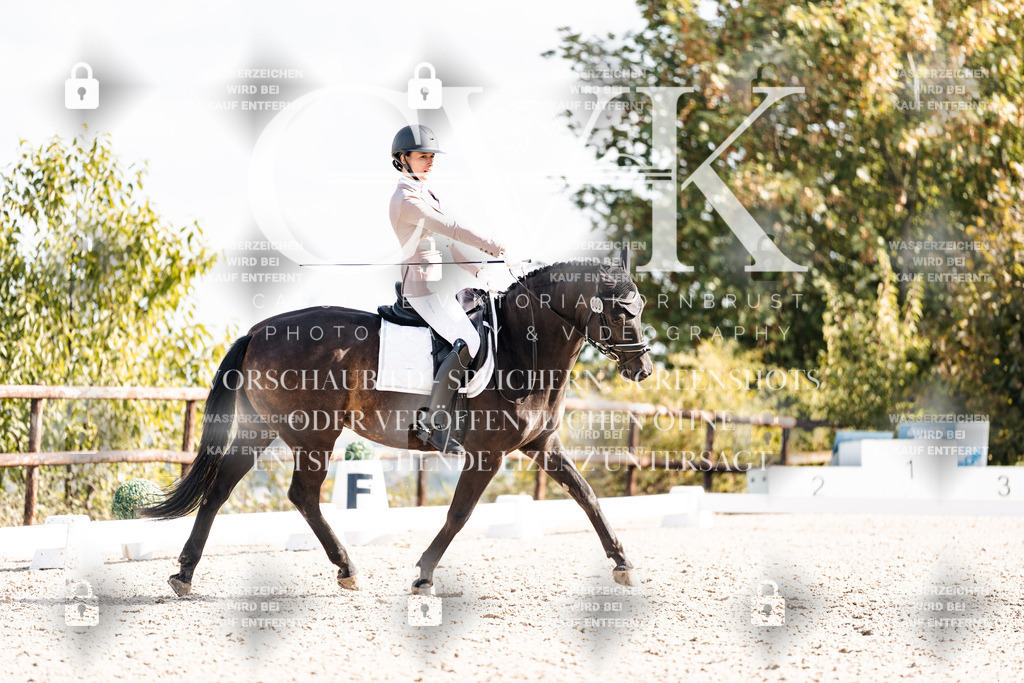 CK901922 | Turnierfotografie Pferdefotografie Trier Rheinland-Pfalz Pferdesport Reitsport Tierfotografie Sportfotografie Pferdevideo Pferdevideografie Equestrianvideography equestrianphotography  - Realisiert mit Pictrs.com