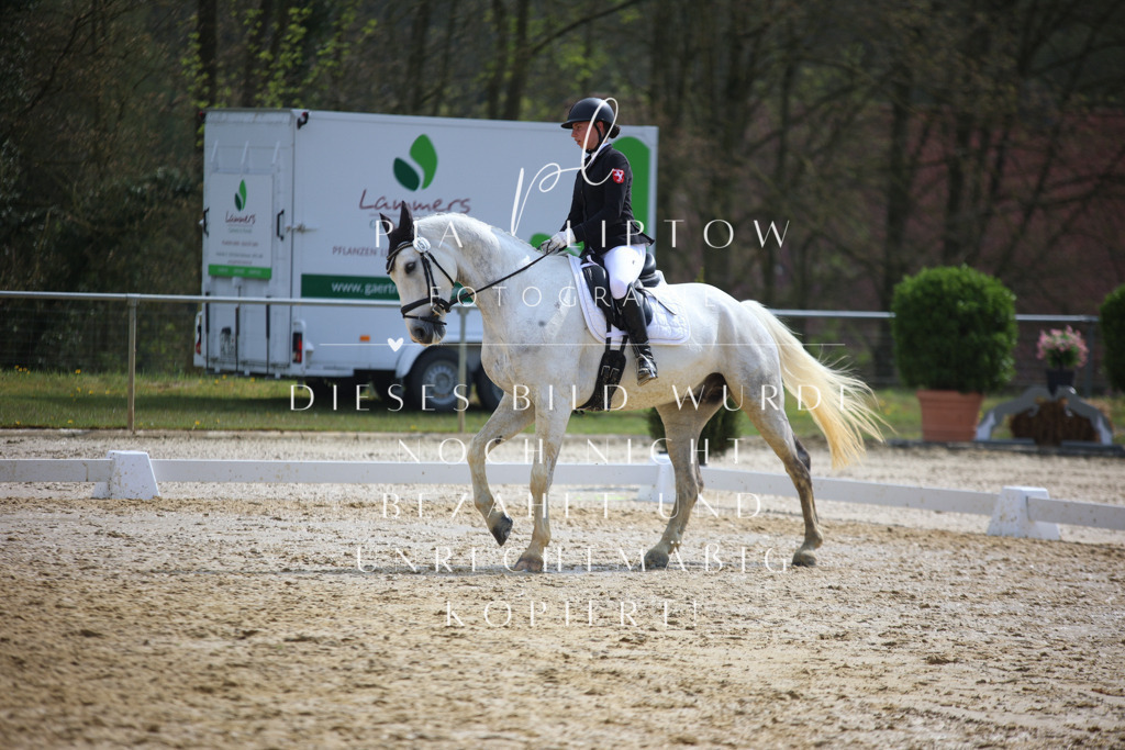 IMGT4843 | pl-fotografie