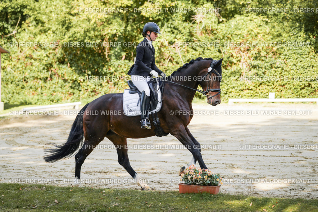 DSC07931 | Pferdegrafie