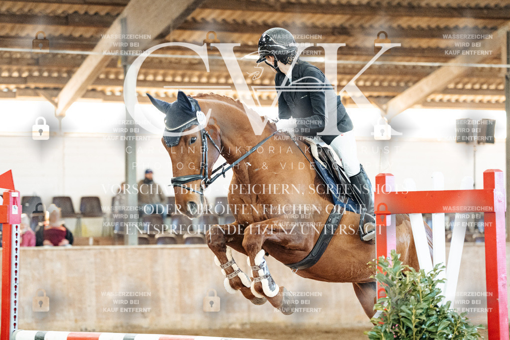 CK904092 | Turnierfotografie Pferdefotografie Trier Rheinland-Pfalz Pferdesport Reitsport Tierfotografie Sportfotografie Pferdevideo Pferdevideografie Equestrianvideography equestrianphotography  - Realized with Pictrs.com