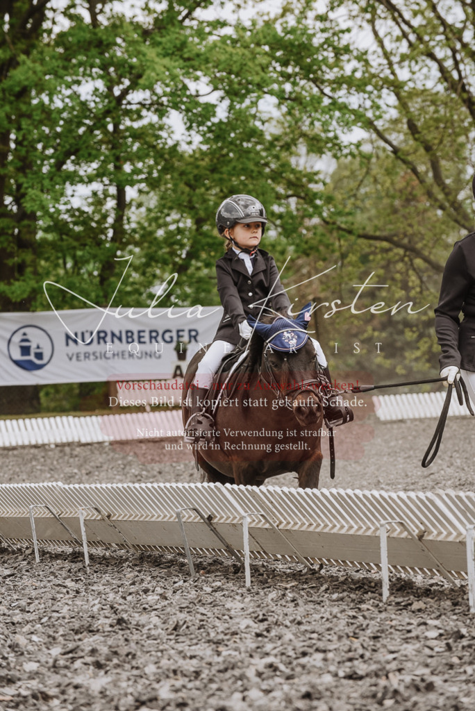 20230514_JK-Röhrsdorf-25-248 | Pferde- und Turnierfotografie in Westsachsen. Pferdeportraits, Auftragszeichnungen und intuitive Kunst.