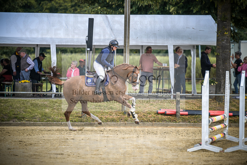 DOS_4579 | Entdecke hochwertige Reitturnierfotos von Foto Oger. Professionell, emotional und authentisch – jetzt Lieblingsmomente im Shop bestellen.Deutschlandweite Turnierfotografie. - Realisiert mit Pictrs.com