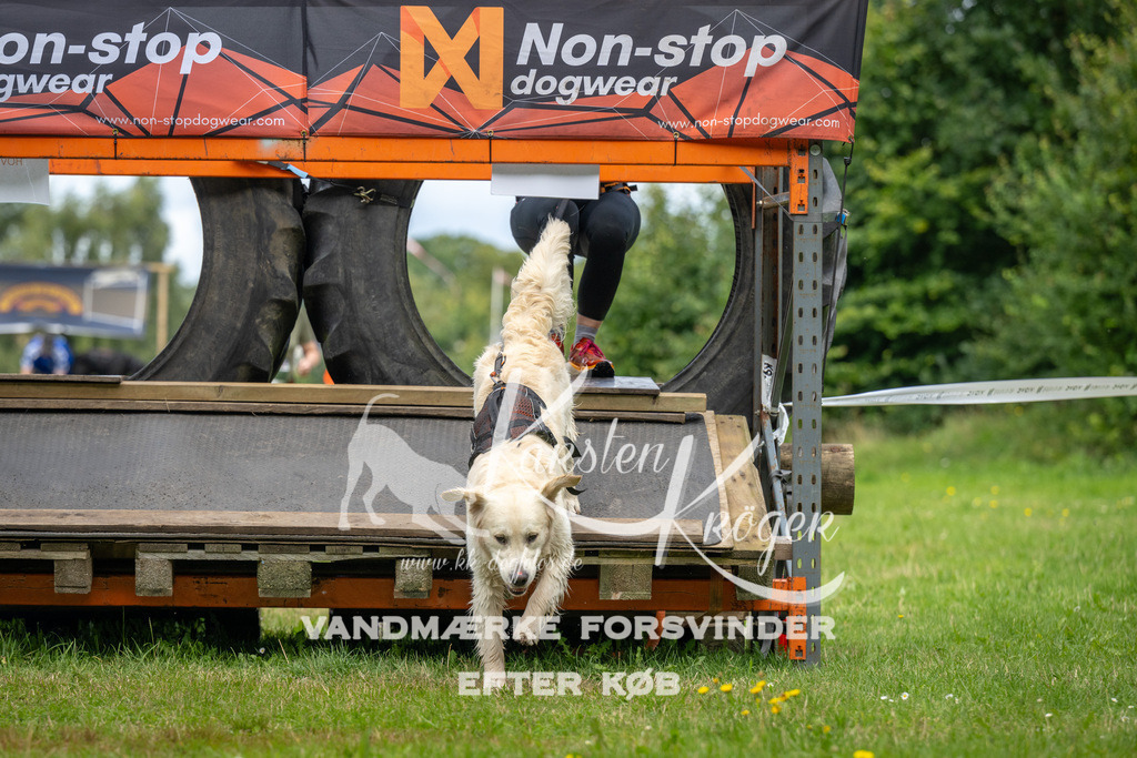 1230_ZZ93813 | kk-dogfotos