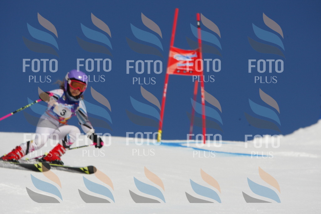 _W1G0023 | holidayphoto