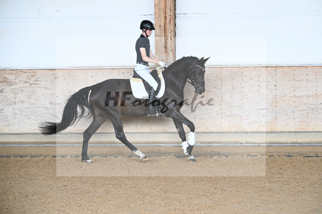 Kat-Nr. 5 Hope v. Boss Hoss_Borisic_31250165 | hf-fotografie - Realizzato con Pictrs.com
