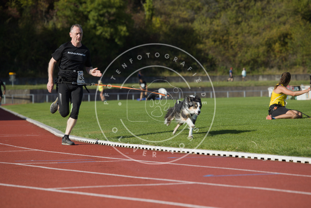 0L8A0020 | Hundefotografie, Tierfotograf, Pfotenfotografie, Fotoshooting Hund, Hunde Portrait, Hundesport, Hundeportraits, Heideshooting, Hunde, Sportfotograf, Hundefotograf, Turnierhundsport, THS,  - Realisiert mit Pictrs.com