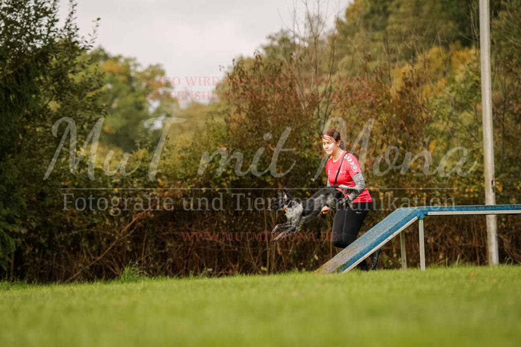 20251005_THS_Turnier-573 | MuT (Mensch und Tier) mit Mona - Fotografie und Tierkommunikation - Realisiert mit Pictrs.com
