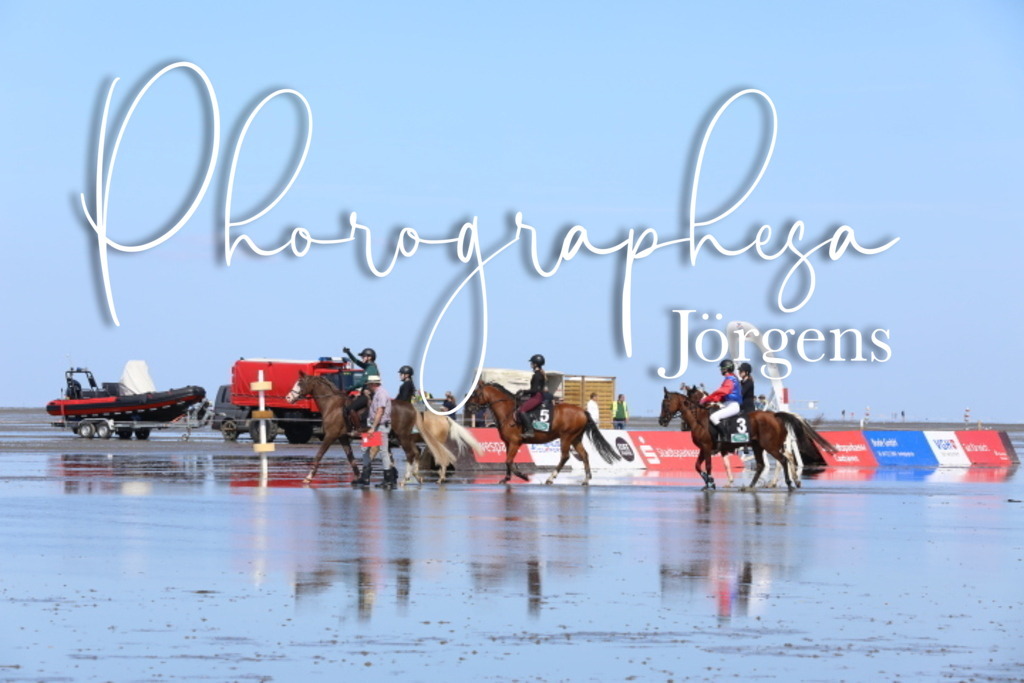 IMG_9520 | photographesa-joergens - Realisiert mit Pictrs.com