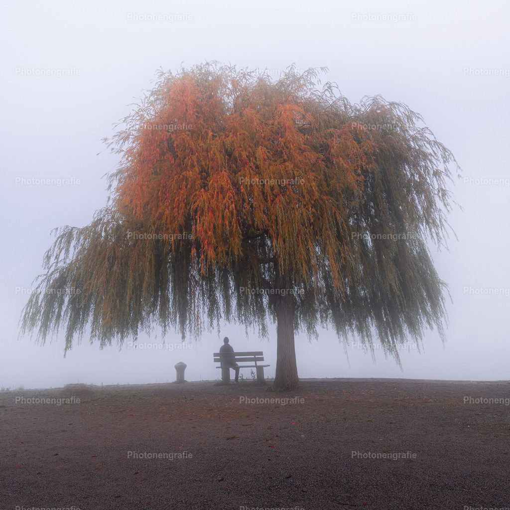 Ingelheim-15 | Photonengrafie´s Shop - Realisiert mit Pictrs.com