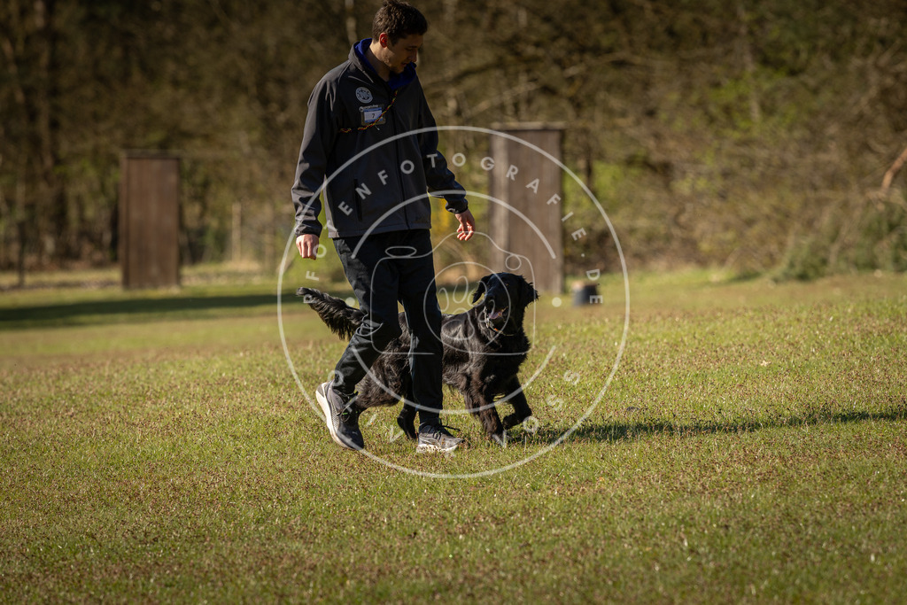 Pfotenfotografie_DV3A0122 | Hundefotografie, Tierfotograf, Pfotenfotografie, Fotoshooting Hund, Hunde Portrait, Hundesport, Hundeportraits, Heideshooting, Hunde, Sportfotograf, Hundefotograf, Turnierhundsport, THS,  - Realisiert mit Pictrs.com