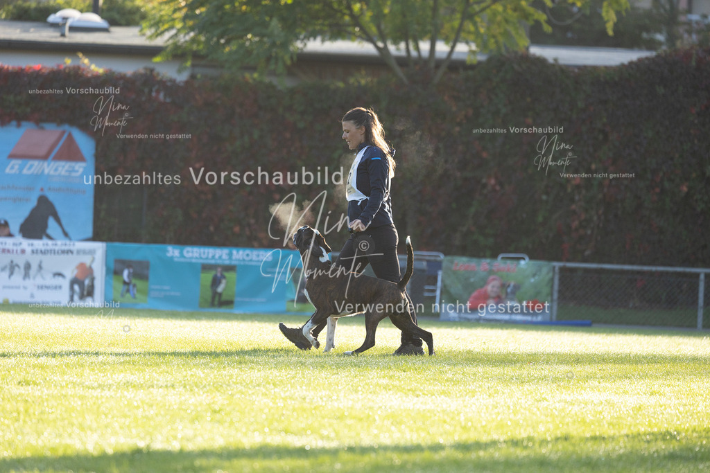 _16A6054 | Einzigartige Fotos von Hunden & Menschen –Actionfotos, Portraits, Vereinsaufnahmen & Paarshootings – authentisch, lebendig & mit Herz.