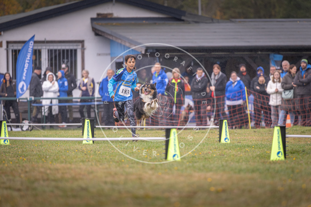 Pfotenfotografie_DV3A9667 | Hundefotografie, Tierfotograf, Pfotenfotografie, Fotoshooting Hund, Hunde Portrait, Hundesport, Hundeportraits, Heideshooting, Hunde, Sportfotograf, Hundefotograf, Turnierhundsport, THS,  - Realisiert mit Pictrs.com