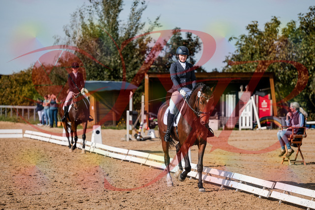 2026_10_03_Siefer-Hof_125249_Z63_60908290 | Professionelle Reitsport-, Turnier- und Eventfotografie von Robert Broda. Galerien mit ausgewählten und bearbeiteten Bildern direkt online ansehen und bestellen.