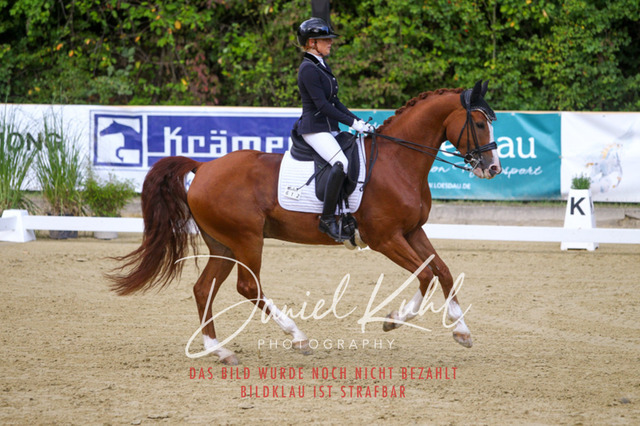 DKP40892 | Turniersportfotografie; Pferdefotografie; Dressurfotografie