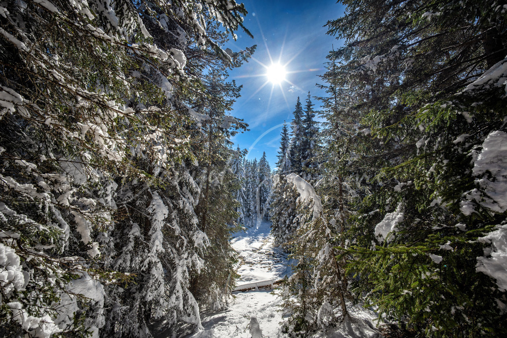 Mösern | Traumhafter Wintertag in Mösern