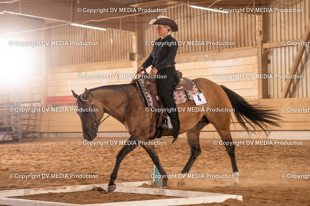 NID00792 | dv-media-shop - Realisiert mit Pictrs.com