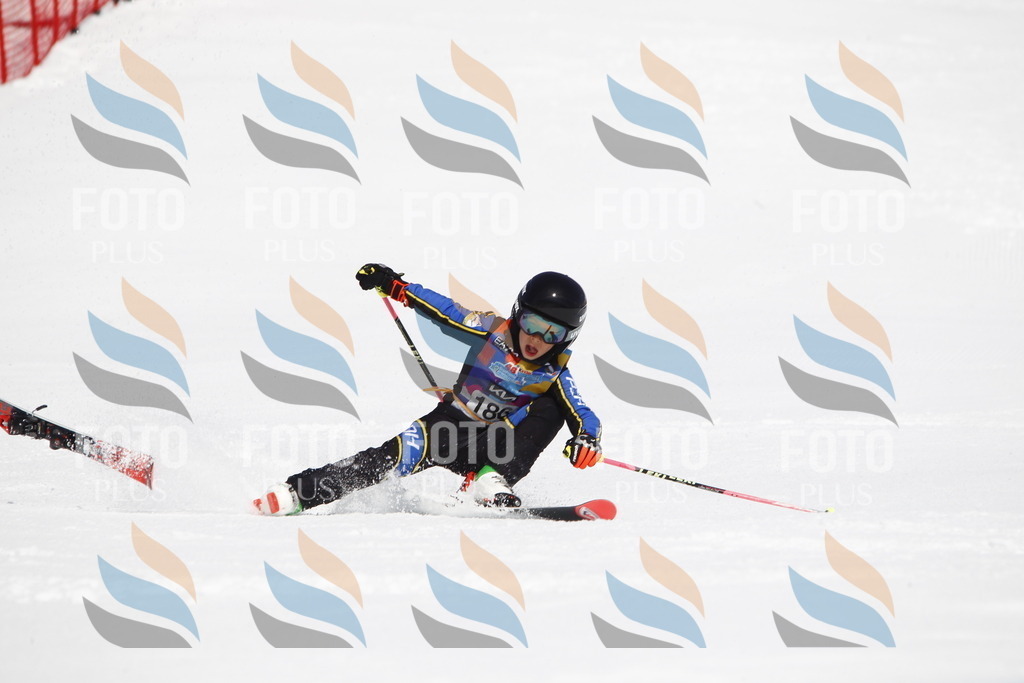 _U3G4881 | holidayphoto