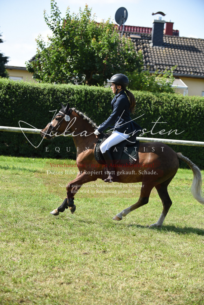 DSC_9071 | Pferde- und Turnierfotografie in Westsachsen. Pferdeportraits, Auftragszeichnungen und intuitive Kunst.