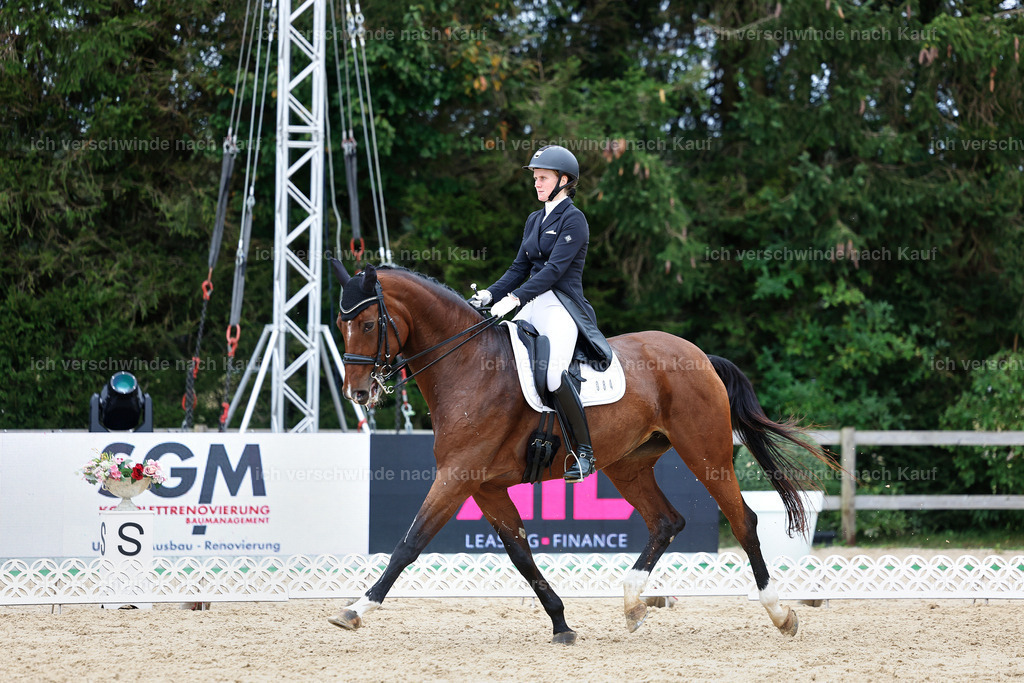 6-084-AMATUER-DRESSUR S_  -StoibPH-3566 | working equitationturnier fotograf videograf stoibphotography marixx film working equitation deutschland reitsport turnierfotografie eventfotografie equestrian events
